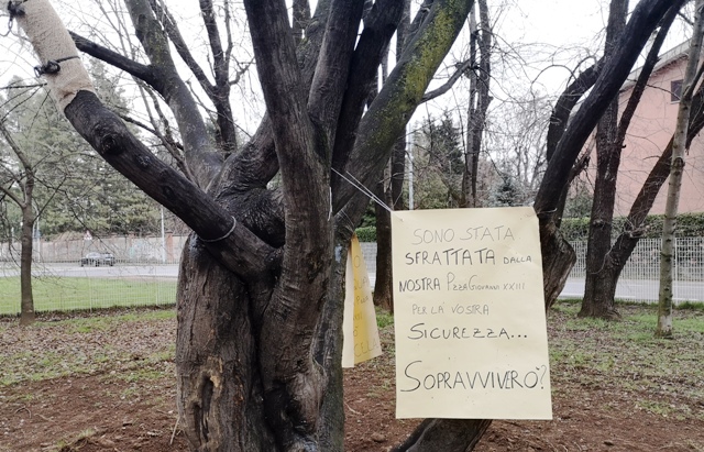 gallarate piazza stazione proteste
