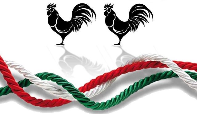 gallarate tricolore piazza garibaldi