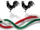gallarate tricolore piazza garibaldi