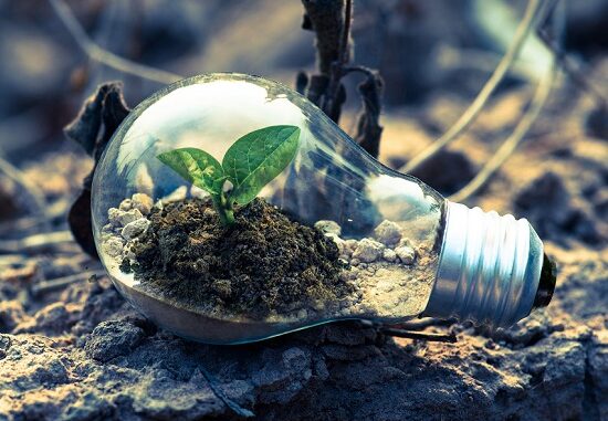 green school rifiuti consumi 02