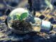 green school rifiuti consumi 02