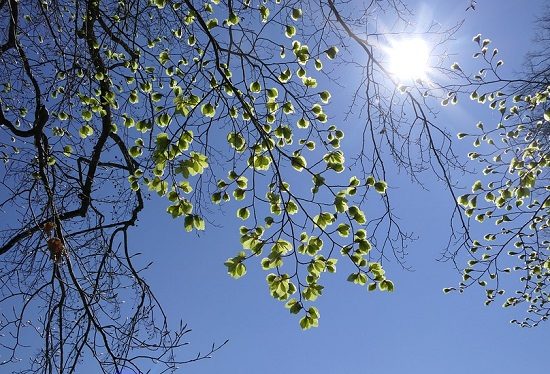 marzo sole temperature miti