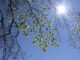marzo sole temperature miti