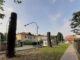 olgiate olona alberi sculture
