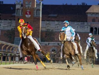 legnano palio carroccio contrade