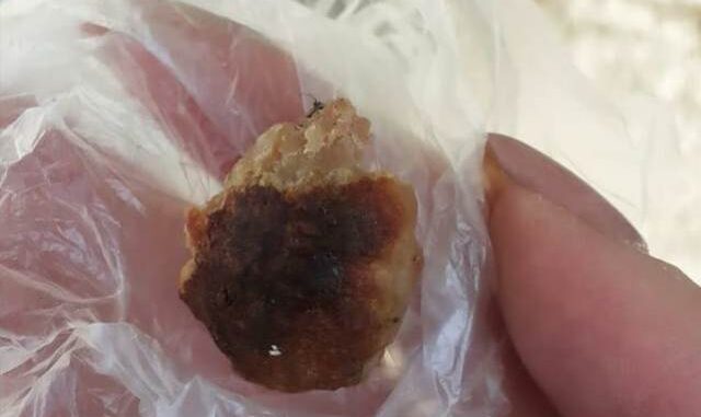 samarate polpette avvelenate cani