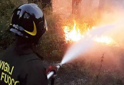 sesto calende incendio bosco