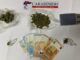 sesto calende spaccio telegram