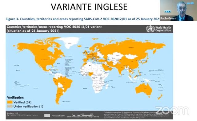 varese paolo grossi covid vaccini