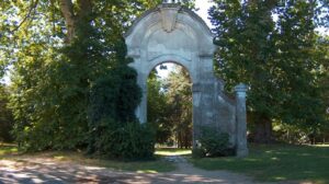 castellanza parco platani sicurezza