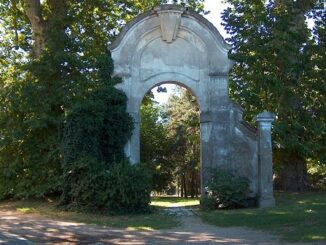 castellanza parco platani sicurezza