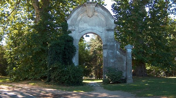 castellanza parco platani sicurezza