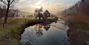 gorla maggiore fagnano valle pulizia rifiuti