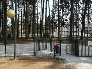 castellanza parco platani cantoni illuminazione