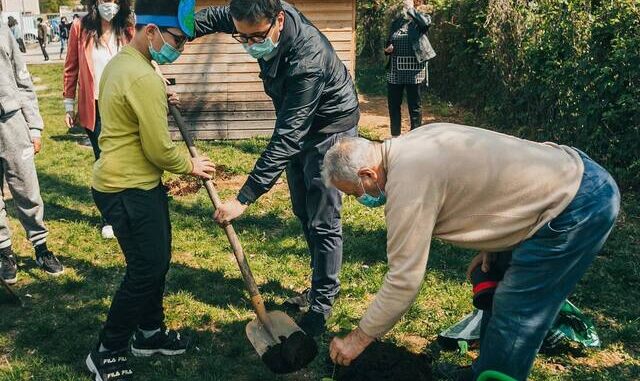 gallarate piante ambiente cassani silvestrini