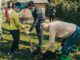 gallarate piante ambiente cassani silvestrini