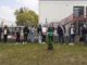 arsago pino scuola ambiente