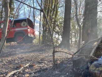 cadegliano viconago incendi boschi