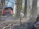 cadegliano viconago incendi boschi