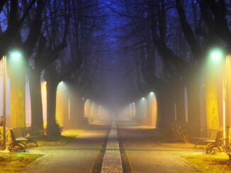 cassano magnago viale rimembranze