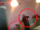 busto disabili maltrattati