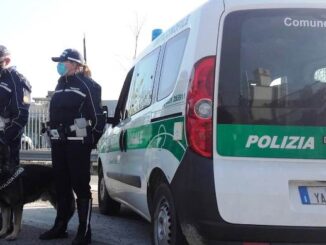 gallarate banda del tavernello