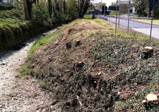 gallarate pulizia sponde arnetta