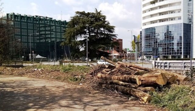 gallarate pulizia sponde arnetta