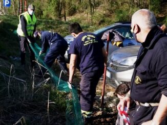 golasecca reti migrazione rospi