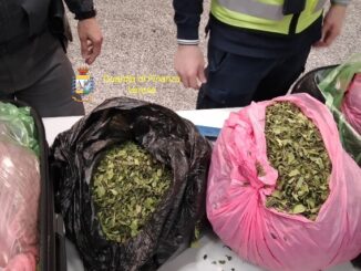 malpensa etiopia khat