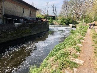 schiume olona amici arpa