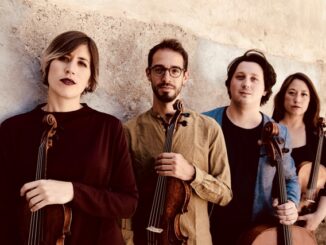 varese insubria mozart
