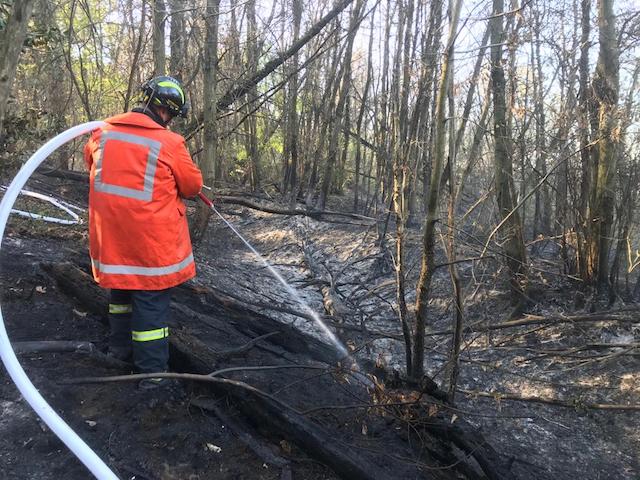 sesto incendio Lisanza