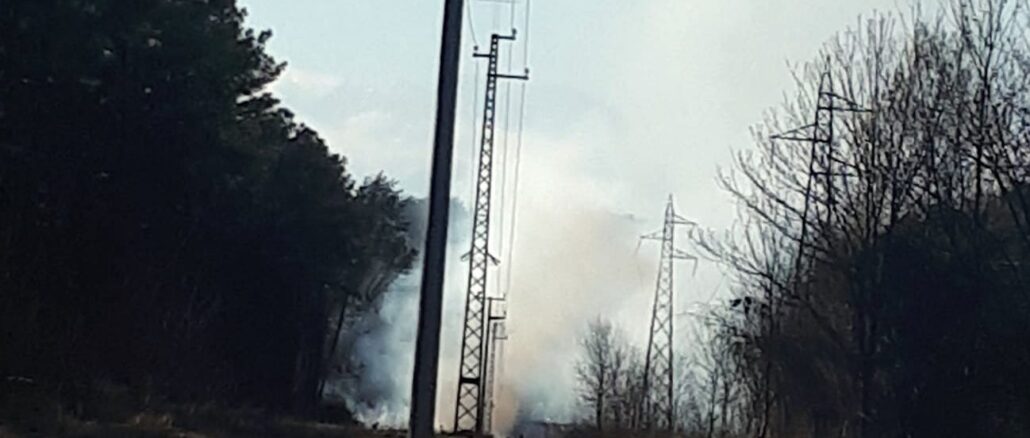 somma coarezza piromane incendio