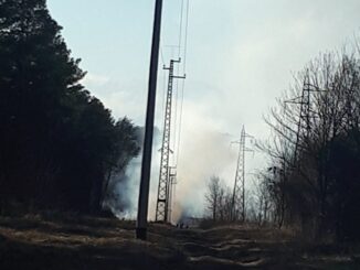 somma coarezza piromane incendio