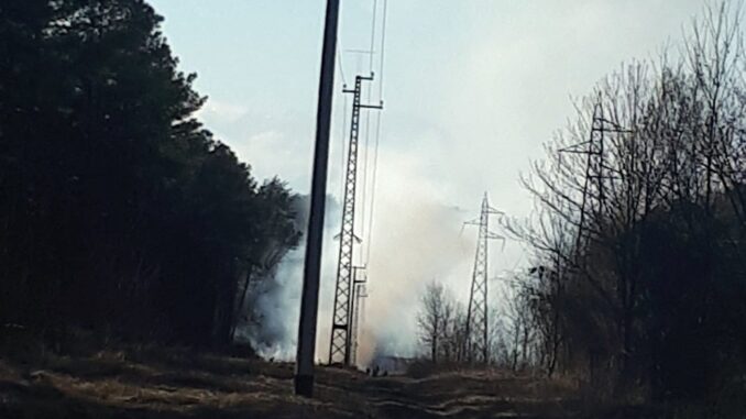 somma coarezza piromane incendio