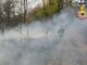 somma incendi boschivi piromane