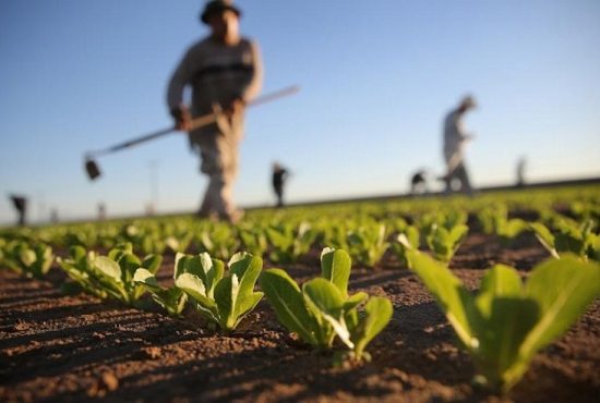 varese protesta agricoli prefettura