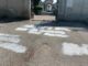 varese zanzi insulti repubblichini