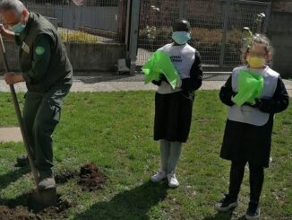 gorla maggiore scuole plis green school