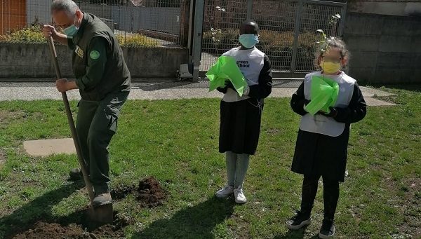 gorla maggiore scuole plis green school