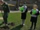 gorla maggiore scuole plis green school