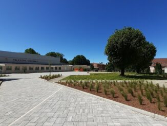 casorate piazza municipio