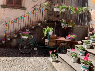sesto rinasce via zutti centro