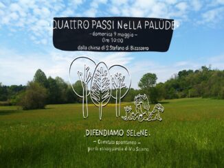 Palude Stoppada