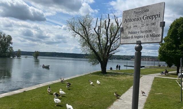 angera cittadinanza onoraria greppi tonin lega