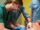 varese asst sette laghi circolo milano