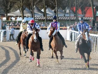 legnano palio corse carroccio