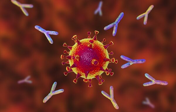 covid anticorpi san raffaele