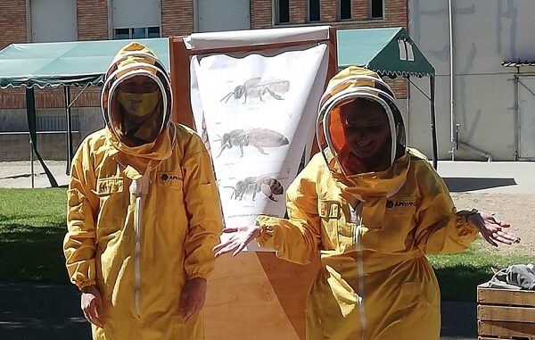 turbigo scuola api apicoltura